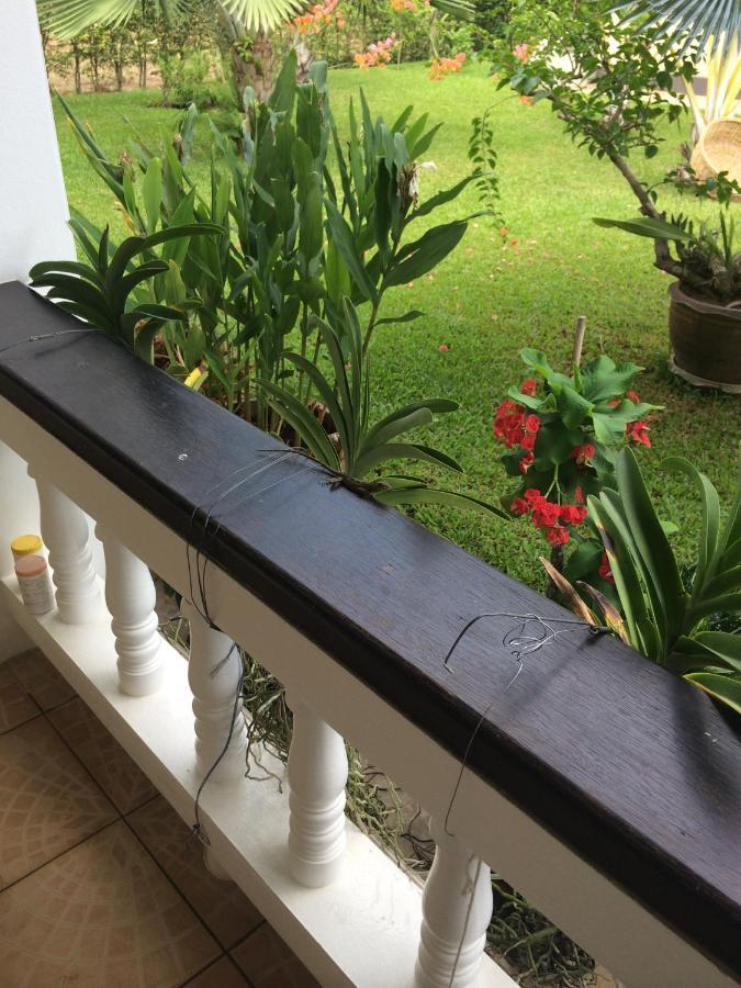Palm Gardens Resort, Bang Saphan Exterior photo